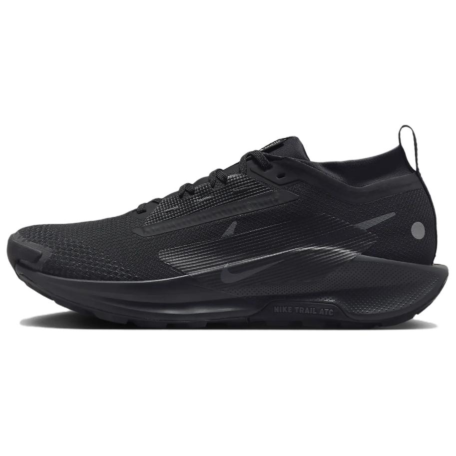 Мужские кроссовки Nike Pegasus Trail 5 GORE-TEX (черно-темно-серые)