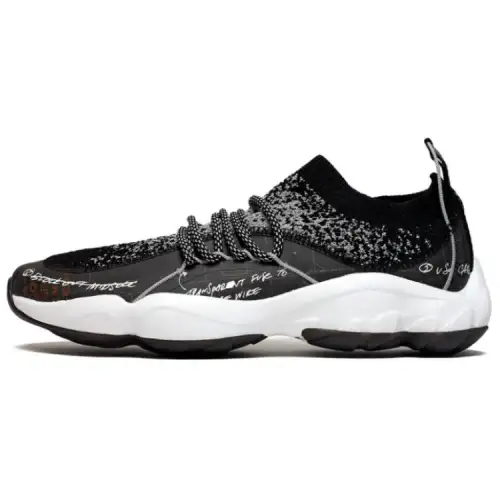 Dmx Fusion Bait x Dmx Fusion Reebok