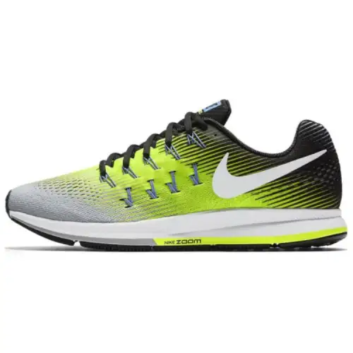 Nike Air Zoom Pegasus 33 Matte Silver Women's