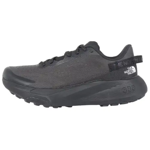 THE NORTH FACE Altamesa 300 Low top Casual Trail Running Shoes Men's Gray