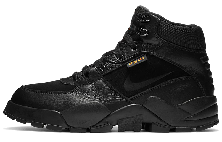 Мужские ботинки Nike Rhyodomo Gore-Tex (черные)