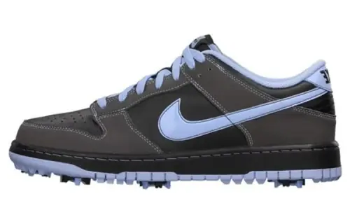 Nike Dunk Low Golf Black Light Blue