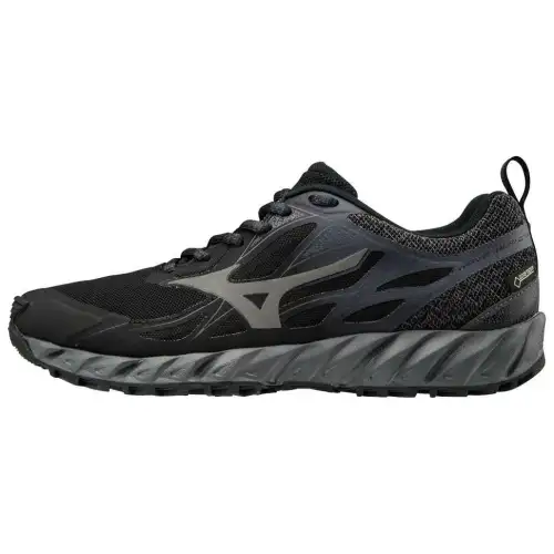 Mizuno Wave Ibuki Gtx Low Tops Wear resistant Black