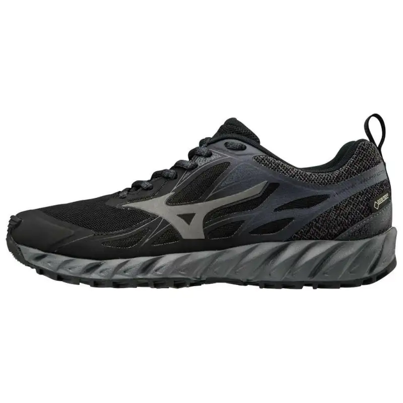 Mizuno Wave Ibuki Gtx Low Tops Wear resistant Black