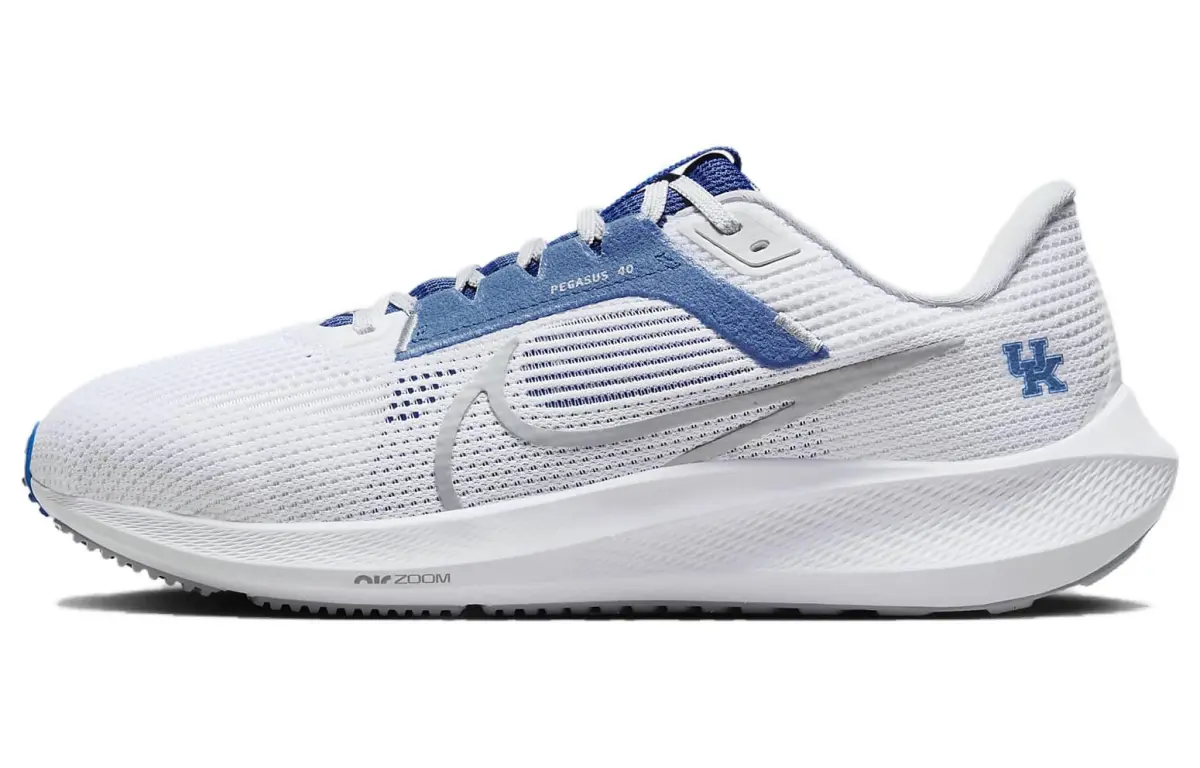 Nike Pegasus 40 Kentucky