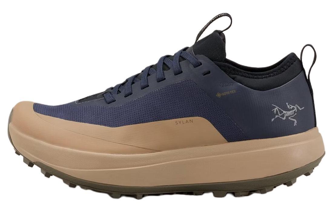 Arc'teryx SYLAN Comfortable Slip Resistant Abrasion Resistant Low top Running Shoes Women's Blue Brown
