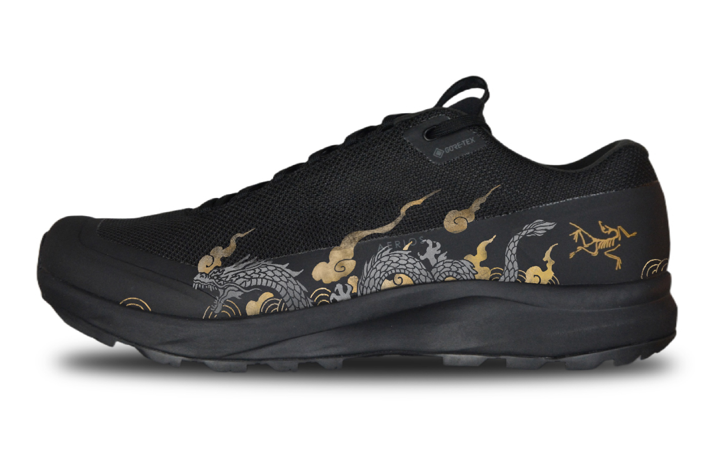Arc'teryx Aerios Fl 2 GTX Flying Dragon Riding Clouds Abrasion Resistant Breathable Low top Outdoor Shoes Unisex