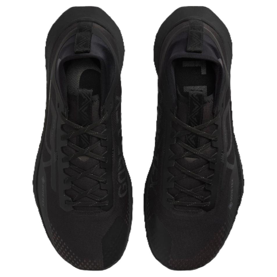 Nike Pegasus Trail 4 Gtx V2 ‘Black Dark Grey’