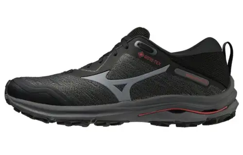 Mizuno Wave Rider GORE TEX 2E Wide 'Iron Gate Bittersweet'