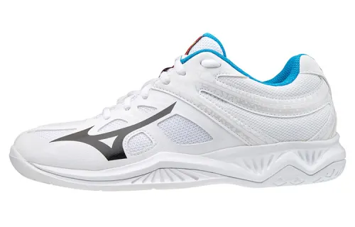 Mizuno Running Shoes Men's Low Top White/Blue