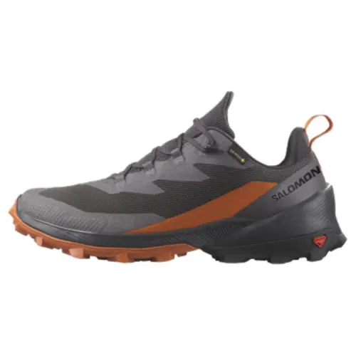 SALOMON CROSS Over 2 GORE TEX Low top Outdoor Shoes Men's Gray Brown