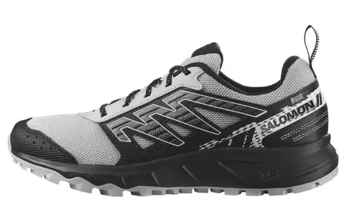 SALOMON Wander 'Lunar Rock' / L00