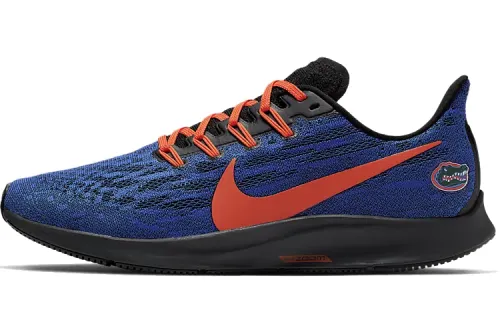 Nike Air Zoom Pegasus 36 Florida