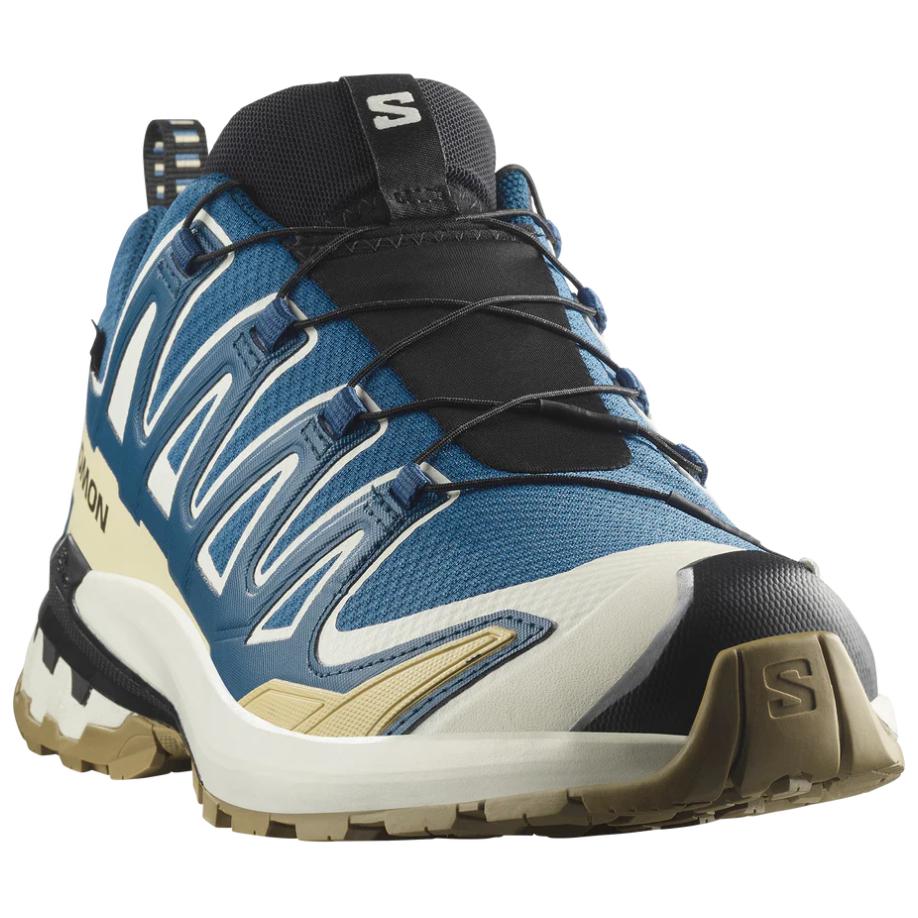 SALOMON Xa Pro 3D V9 Gtx Sneakers