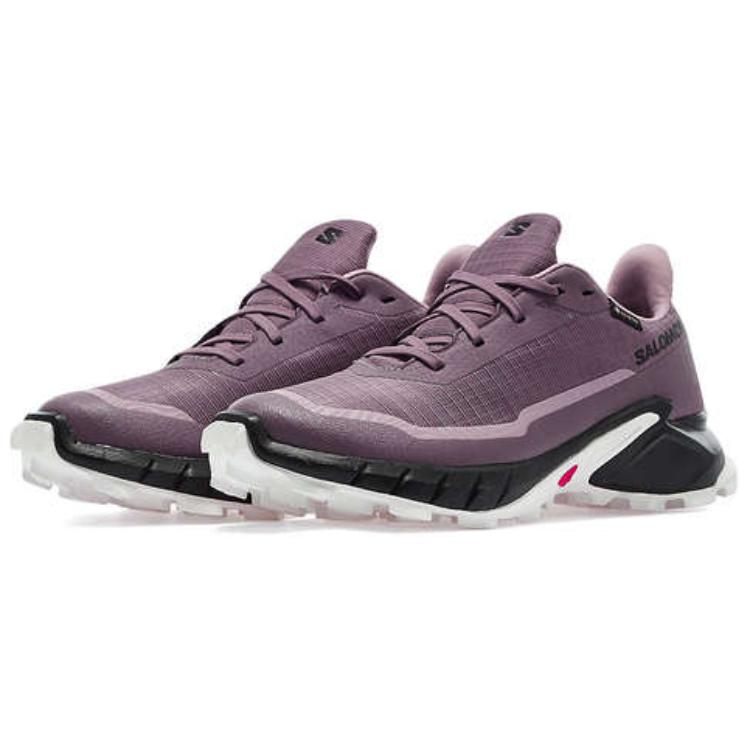 Alphacross 5 Wmns Salomon GORE-TEX ‘Moonscape’ Women’s