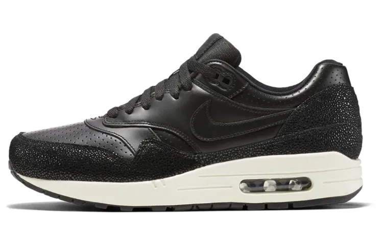 Nike Air Max 1 Stingray Pack