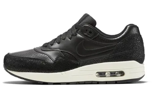 Nike Air Max 1 Stingray Pack
