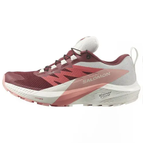 Sense Ride 5 Wmns Salomon GORE-TEX 'Syrah Peach Amber' Women's