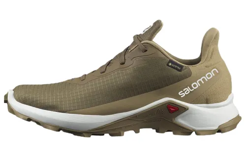 SALOMON Alphacross 3 Gt Fabric Comfortable Abrasion Resistant Low top Outdoor Shoes Men's