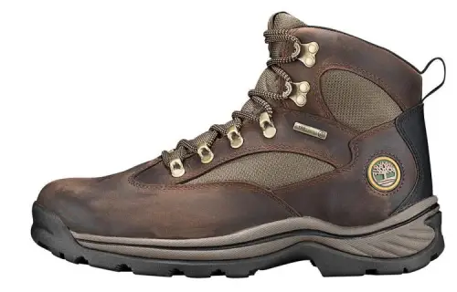 Timberland Chocorua Abrasion Resistant Cushioning Comfortable Ankle Length Outdoor Boots Men's Brown
