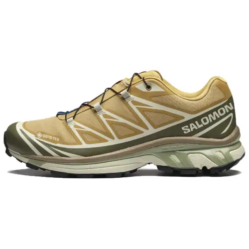 XT-6 SALOMON GORE-TEX 'Antelope Portabella'