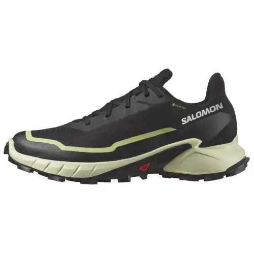 SALOMON Alphacross 5 Gtx 'Black Green' Women's