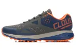 Li Ning Running Shoes Unisex Low Top Gray/Blue/Orange