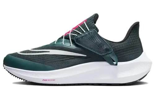 Nike Air Zoom Pegasus 39 FlyEase 'Deep Jungle Metallic Silver' Women's