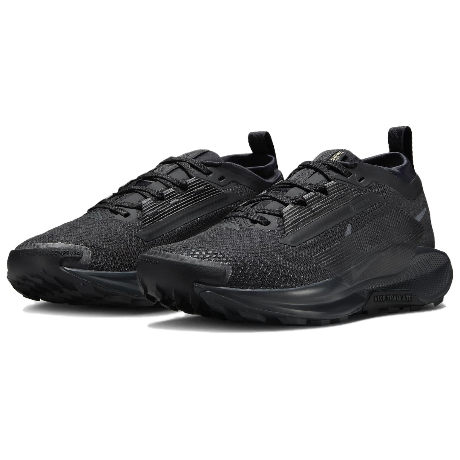 Nike Pegasus Trail 5 Waterproof Low top Running Shoes Women’s Black