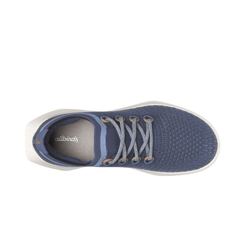 Allbirds Slip Resistant Abrasion Resistant Low top Running Shoes Men’s Blue