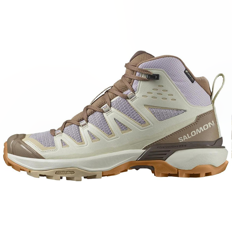 SALOMON X ULTRA 360 Outdoor Shoes Women’s High Top Brown Purple