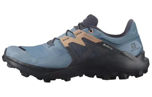 SALOMON Wildcross 2 Gore Tex / L00Women's