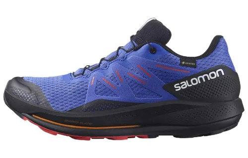 SALOMON Pulsar Trail Gore Tex 'Blue Black'