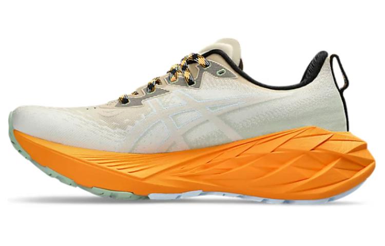 Мужские кроссовки ASICS Novablast 4 TR (/ бежево-желтые)