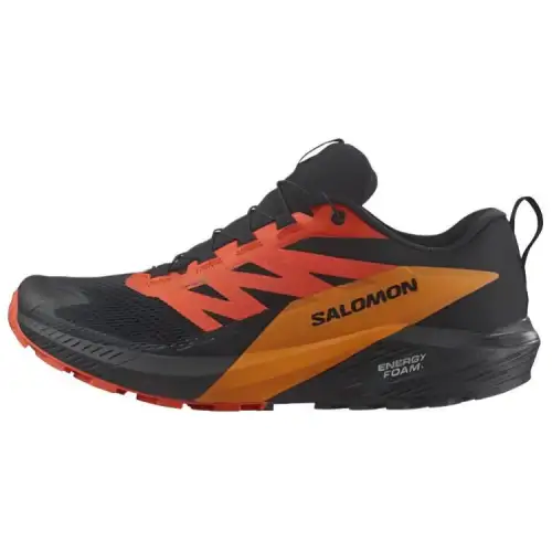 SALOMON Sense Ride 5 Gtx Sneakers