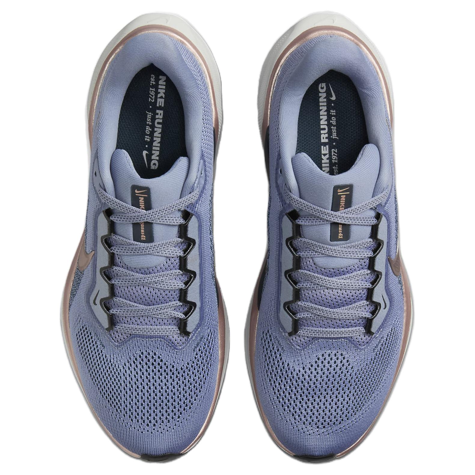 Nike Air Zoom Pegasus 41 Ashen Slate Armoury Navy Women’s