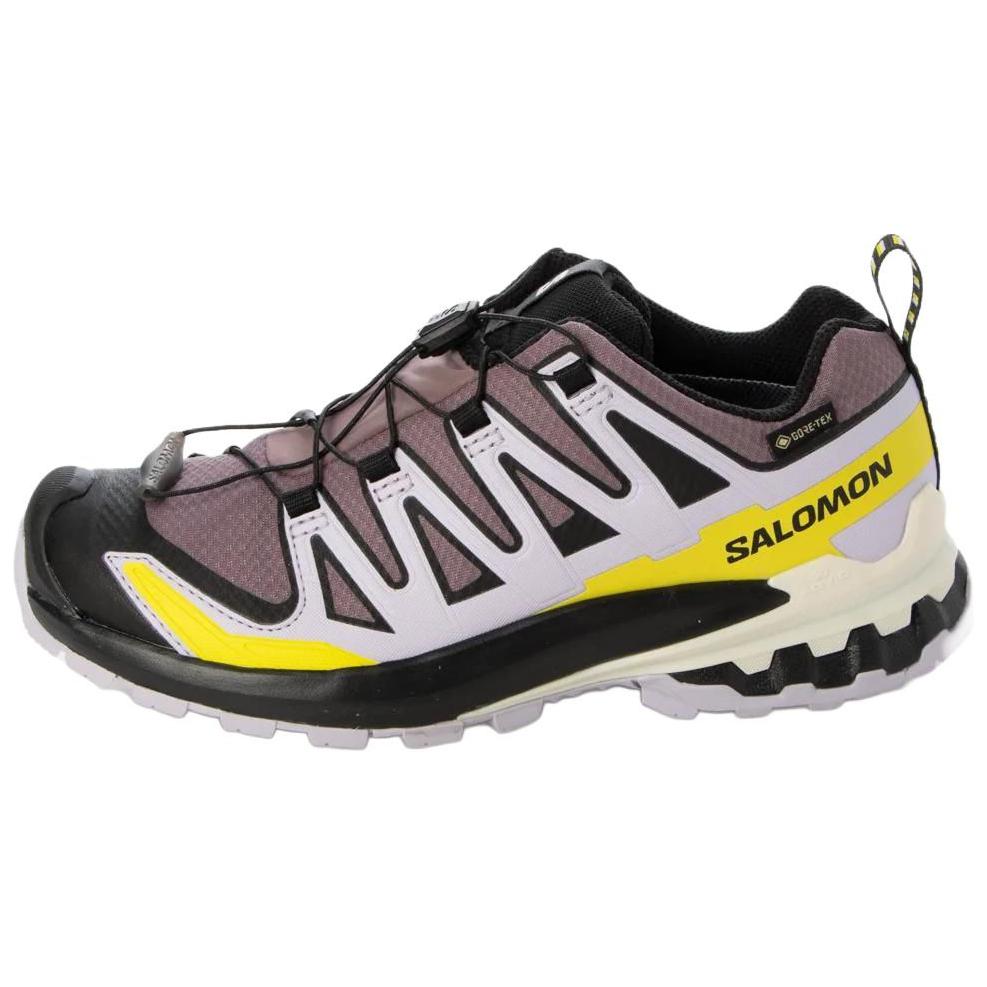 Xa Pro 3D V9 Wmns Salomon GORE-TEX ‘Moonscape Orchid Petal Sulphur’ Women’s