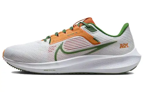 Nike Pegasus 40 Famu