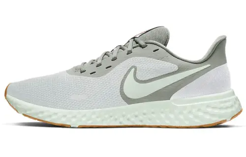 Nike Revolution 5 Platinum Tint Grey Fog