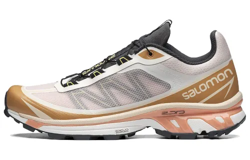 SALOMON XT-6 FT Morganite Fenugreek