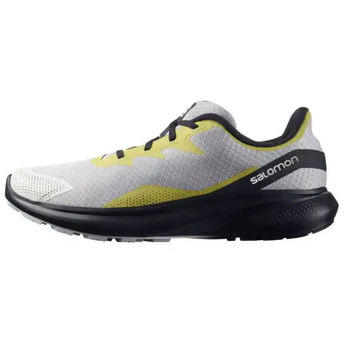 SALOMON Impulse Running Shoes Men's Low Top Gray