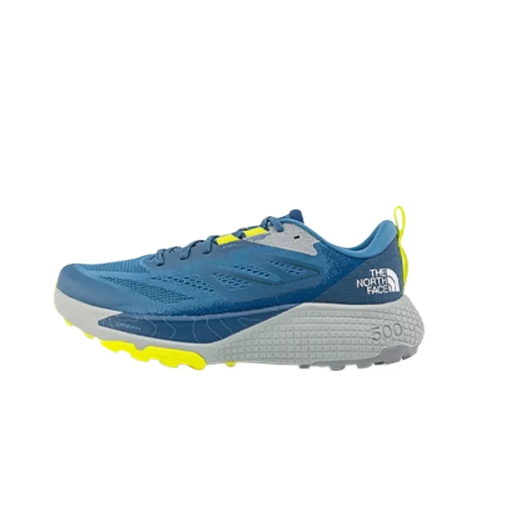 THE NORTH FACE Altamesa 500 Mesh Low top Running Shoes Men's Blue