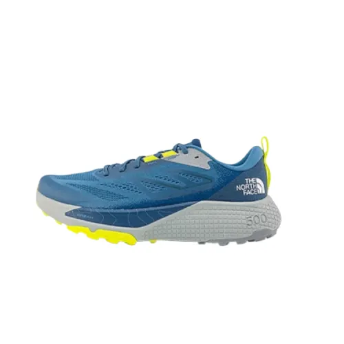 THE NORTH FACE Altamesa 500 Mesh Low top Running Shoes Men's Blue