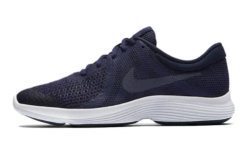 Nike Revolution 4 Low Top Blue Gs
