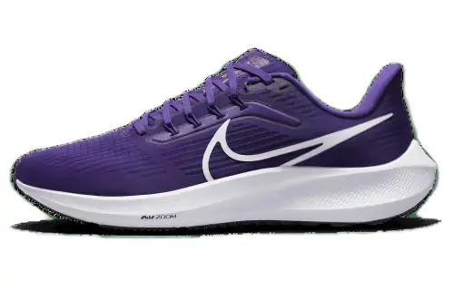 Nike Air Zoom Pegasus 39 Tb Court Purple