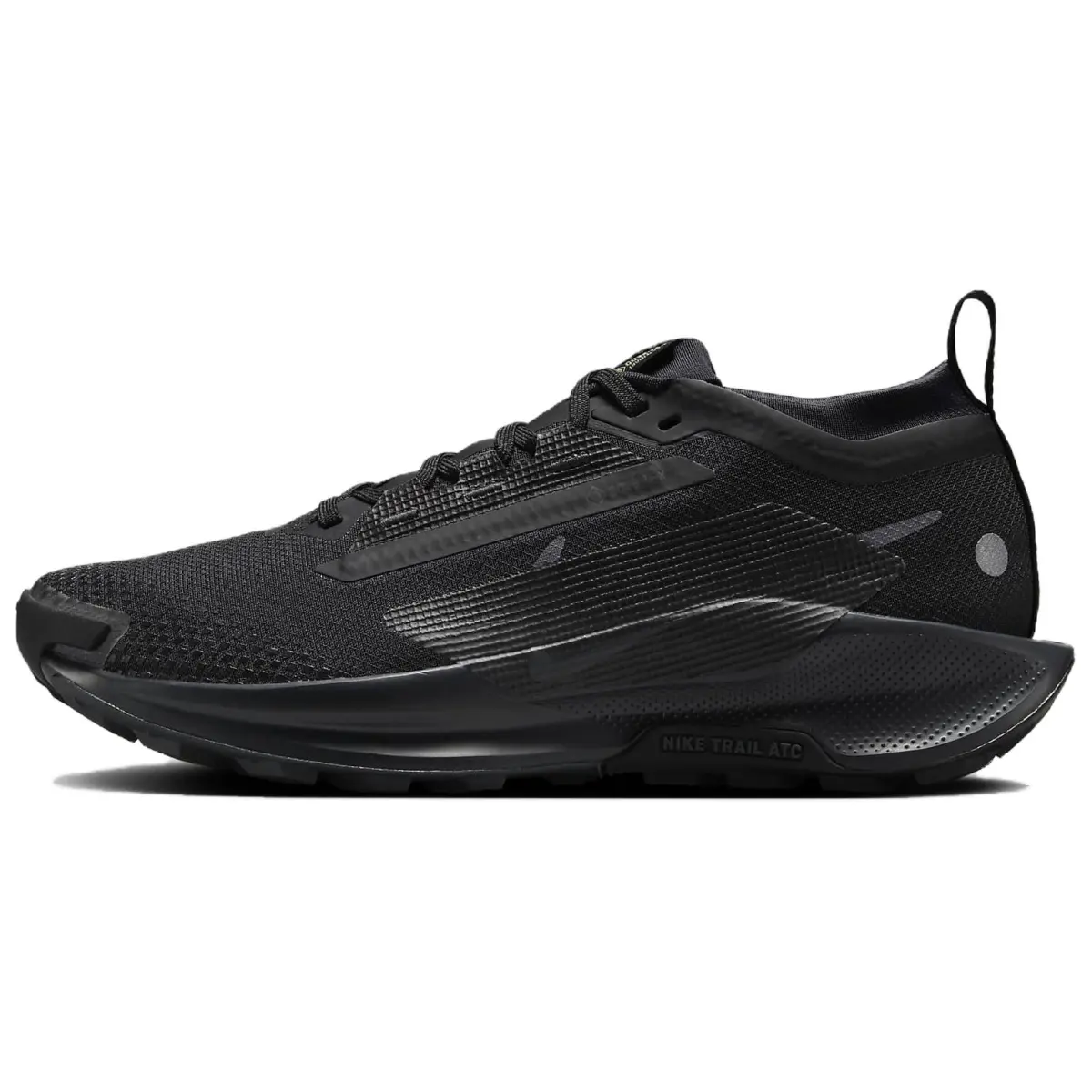 Nike Pegasus Trail 5 Waterproof Low top Running Shoes Women's Black
