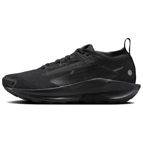Nike Pegasus Trail 5 Waterproof Low top Running Shoes Women's Black