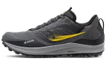 saucony Peregrine 12 GTX 'Shadow ViZi'