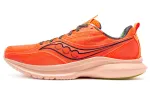 Saucony Kinvara 13 Campfire Story