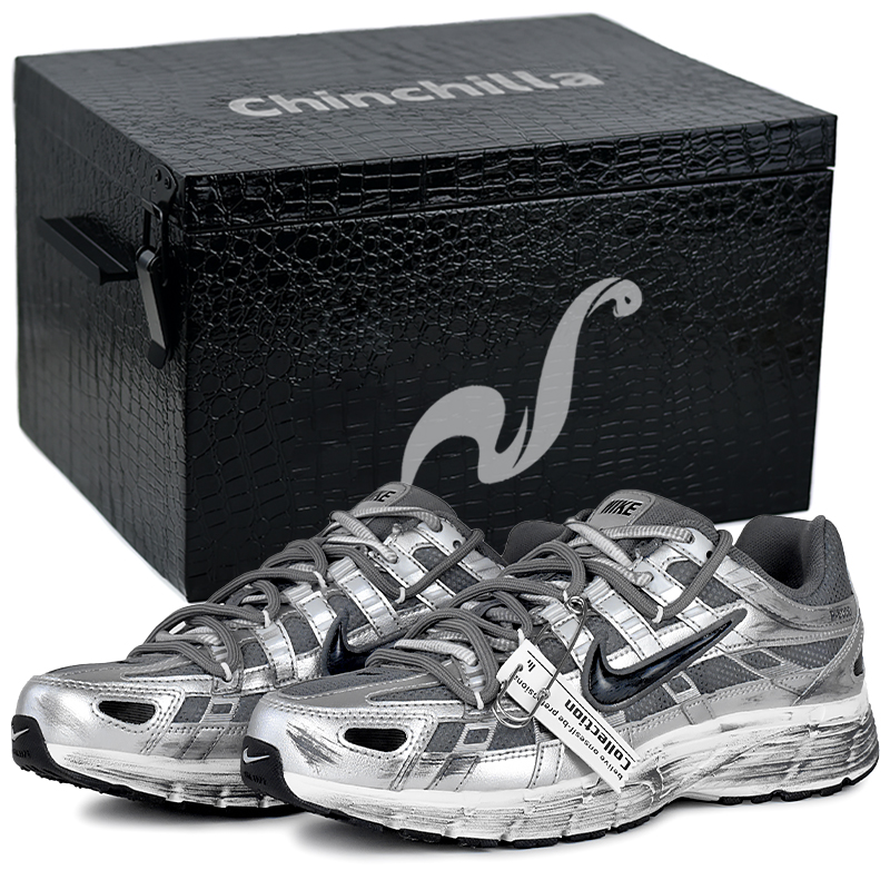 Nike P 6000 Cushioning, Wear Resistant Low top Casual City Commuting Running Shoes Unisex Silver
